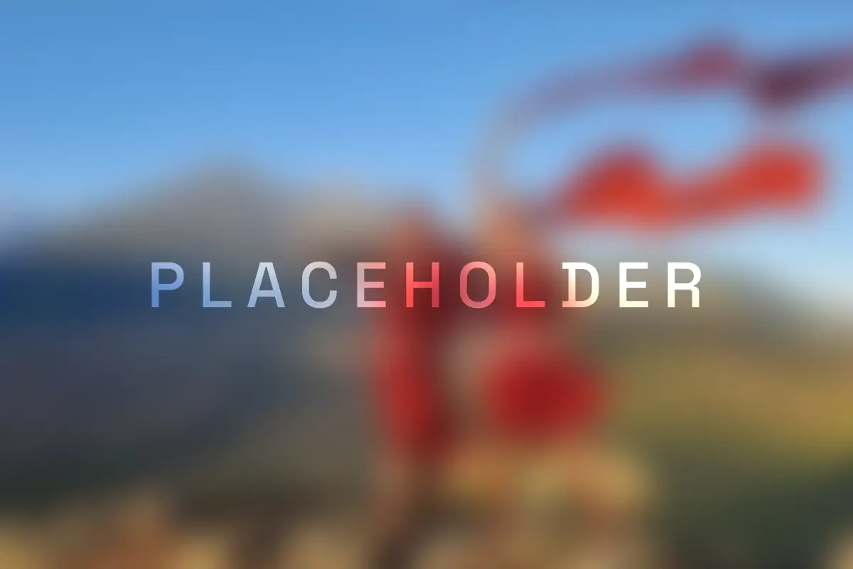 placeholder10