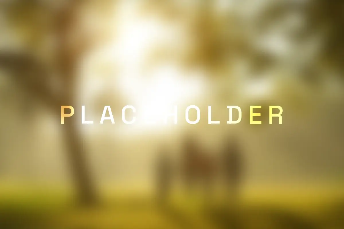 placeholder14