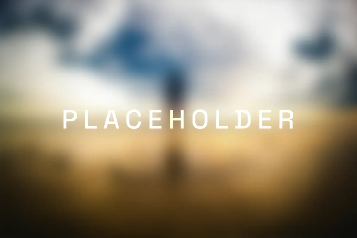 placeholder17